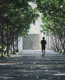 p站官网入口机制变化解读｜订阅机制分析影响平台体验