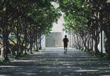 p站官网入口机制变化解读｜订阅机制分析影响平台体验