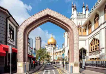 p站官方官网主题研究｜透析数据趋势观察核心逻辑