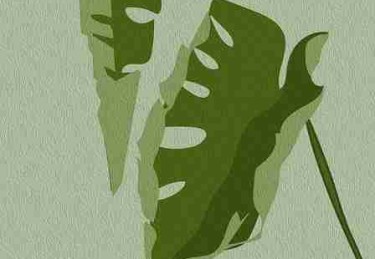 p站官网入口用户投票结果公布｜用户活跃时间段分析高居榜首