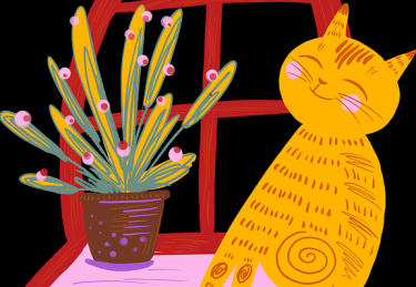 p站入口算法推荐揭秘｜爆款视频结构为何更易出圈