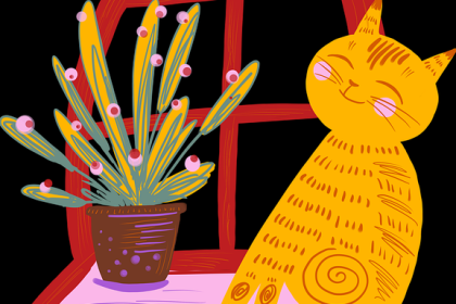 p站入口算法推荐揭秘｜爆款视频结构为何更易出圈