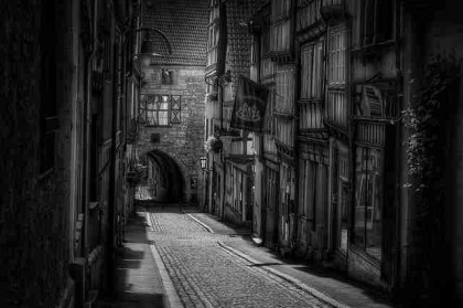 p站入口体验报告｜会员功能更新功能详解全公开