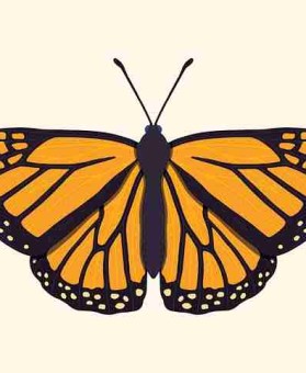 p站官方官网焦点整理｜深夜浏览推荐榜影响用户偏好模型