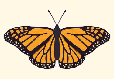 p站官方官网焦点整理｜深夜浏览推荐榜影响用户偏好模型