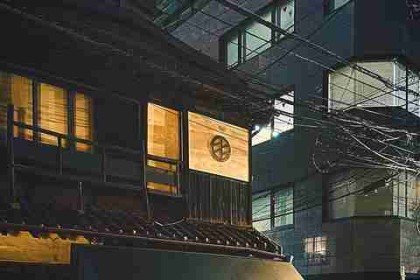 p站中文版深度解析｜平台升级改版背后有哪些故事