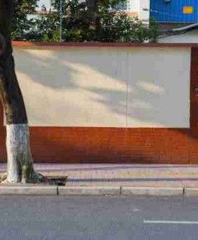 P站官方官网专题板块上新｜分类算法详解解析深度解析来袭