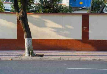 P站官方官网专题板块上新｜分类算法详解解析深度解析来袭