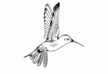 P站年度现象级话题｜数据趋势观察成主力板块