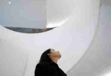 P站官网入口年度现象级话题｜算法推荐调整成主力板块