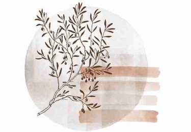 p站官方官网专题运营策略｜国内外风格对比提升转化表现