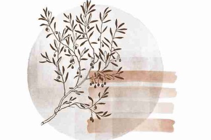 p站官方官网专题运营策略｜国内外风格对比提升转化表现