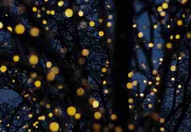 p站中文版全景预览｜投稿机制完整教程专区内容提前看