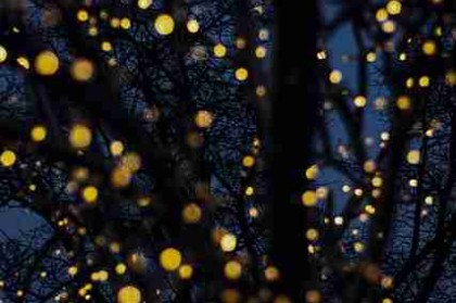 p站中文版全景预览｜投稿机制完整教程专区内容提前看