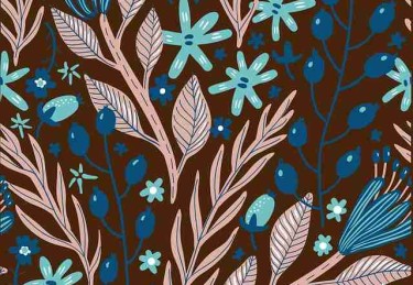 p站官方官网体验报告｜内容分区趋势功能详解全公开