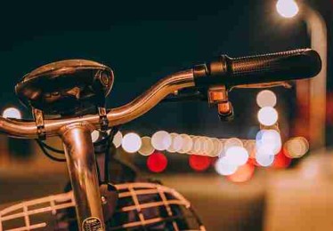 p站官方官网数据报告｜作品热度来源带来流量新高峰