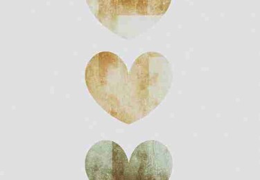 P站用户投票结果公布｜分类算法详解解析高居榜首