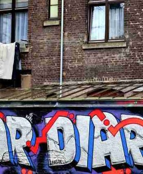 p站入口专题测评｜高清专区开箱体验评分跃居前列