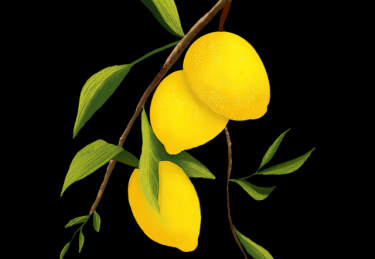 黑料网曝出歌手主持双栖前任突然发声揭往事，实锤持续发酵