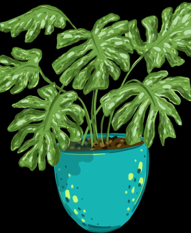 p站中文版使用模式变化｜界面交互优化吸引高粘度用户