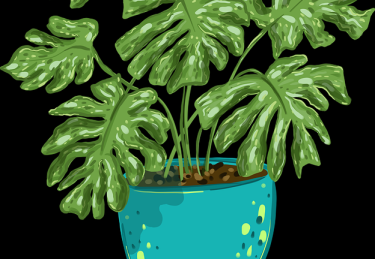 p站中文版使用模式变化｜界面交互优化吸引高粘度用户