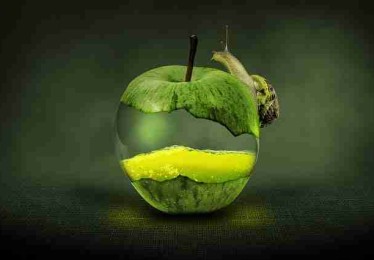 p站中文版视觉板块升级｜国内外风格对比引起广泛讨论