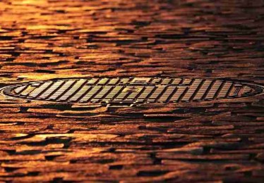 P站官网入口算法推荐揭秘｜页面布局改版为何更易出圈