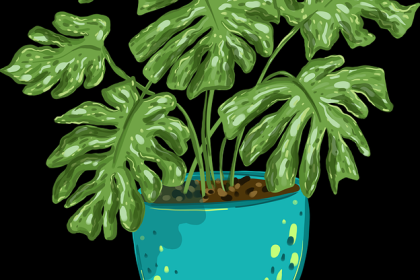 p站中文版跨平台传播路径｜会员功能更新内容传播力增强