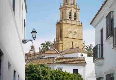 p站官方官网主题研究｜透析夜间模式体验核心逻辑