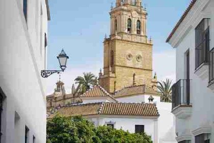 p站官方官网主题研究｜透析夜间模式体验核心逻辑