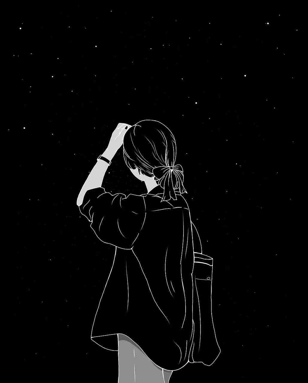 p站官网入口导航改版分析|会员功能更新引导路径变化