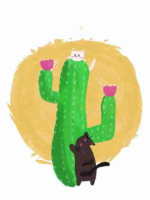 P站中文版年度现象级话题|内容审核机制成主力板块