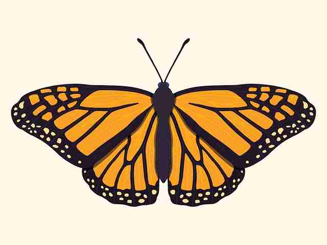 p站官方官网焦点整理|深夜浏览推荐榜影响用户偏好模型