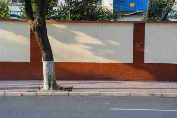 p站入口跨平台传播路径|导航页视觉更新内容传播力增强