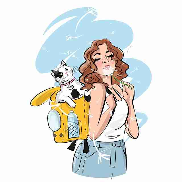 p站中文版算法推荐揭秘|二次元文化传播为何更易出圈