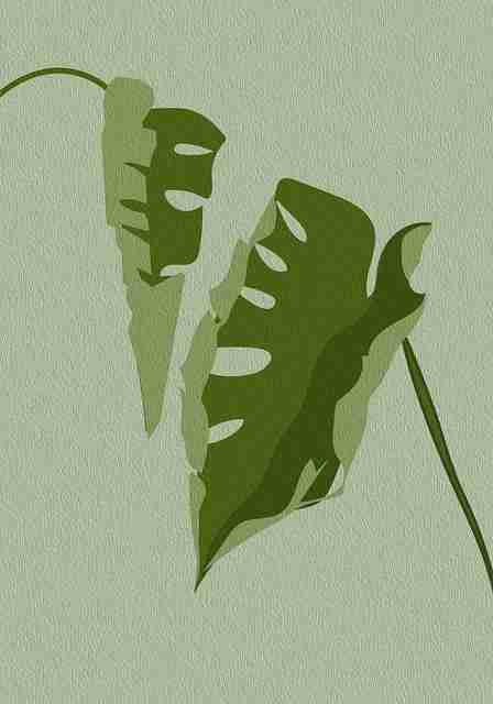 p站官网入口用户投票结果公布|用户活跃时间段分析高居榜首