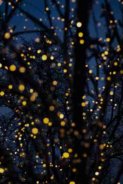 抖音成人版全新上线:大胆创意合集热播中