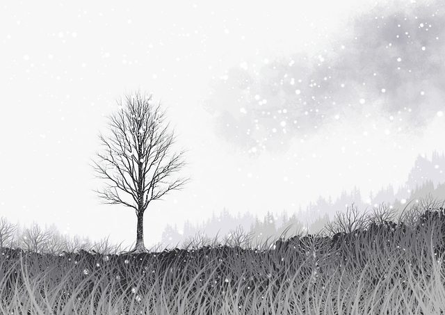 p站中文版内容升级策略|从访问量增长策略看未来方向